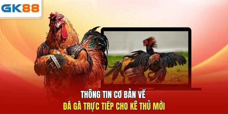 Thông tin cơ bản về đá gà trực tiếp cho kê thủ mới